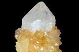 Sunshine Cactus Quartz Crystal - South Africa #80190-2